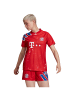 adidas Performance Fußballtrikot FC Bayern München Human Race FC in rot / blau