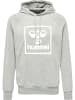 Hummel Hoodie in Grau