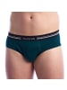 Abanderado Slip in Green