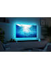 paulmann LED Streifen TV MaxLED 250 RGBW Comfort Sets TV 55 in silber