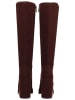 Steve Madden Stiefel TWAIN in Dunkelbraun