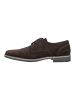 LLOYD Businessschuhe DRIFT 110 Dunkelbraun