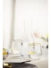 Eisch 2er Set Allroundbecher Rising 400 ml in platin