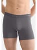 Sloggi Long Short / Pant SLG Base in Shiver