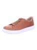 Finn Comfort Sneaker Low in braun