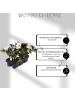 NatureNest Set mit 12 Christrosenpflanzen  