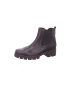 Gabor Chelsea Boot für Damen in braun