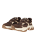 Steve Madden Sneaker AMPLE in Braun