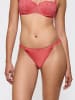 Triumph Tai-Slip Crazy Stupid Love Highleg Tai in BLOOD ORANGE