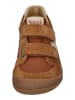 KOEL Sneaker Low KOBI W II  in braun