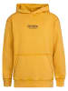 Petrol Industries Hoodie Klamath in Gelb