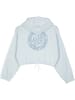 Santa Cruz Hoodie "Check Outline Ringed Dot Zip" in Blau