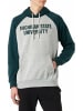 Champion Hoodie für Herren in Bunt