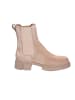 Apple of Eden Stiefeletten  Bis in beige
