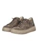 Gabor Sneaker in Braun/Grau