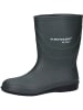 Dunlop Stiefel Acifort Desinfektionsstiefel in grün in grün