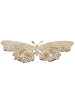 Beliani Dekofigur MADIUN in Gold - (W) 40 x (H) 6 x (L) 24 cm
