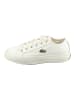 Lacoste Sneaker in Creme