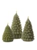 Deluxe Homeart LED Kerze  Tannenbaum Weihnachtsbaum Echtwachs H: 16cm in hellgrün
