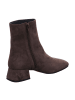 Apple of Eden Klassische Stiefeletten in Beige