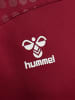 Hummel Hummel Hoodie Hmllead Multisport Herren in BIKING RED