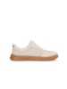 Kazar Sneaker Low ADELMO in Taupe