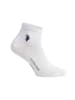 U.S. Polo Assn. P-054 in Weiss