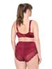 Ulla Popken Entlastungs-BH in weinrot