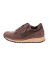Gabor Sneaker Low in taupe