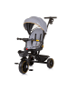 Chipolino Tricycle Max Sport 2 in 1 in grau