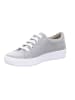 Solidus Sneaker Low in grau