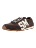 Steve Madden Sneaker CASHBOX in Braun/Weiß
