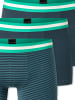 Schiesser Trunk 955 Multi in sortiert 12