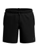 Arena Evo Beach Boxer Solid in Schwarz