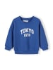 Minoti 2-er Pack Sweatshirt 29FLEECE200 in rot