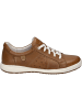 Josef Seibel Sneaker Caren 01 in beige