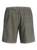 Jack & Jones Shorts in Mulled Basil