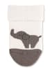 Sterntaler Baby-Socken Eddy, 2er-Pack in ecru