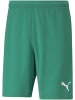 Puma Sporthose "TeamRISE Short" in Grün