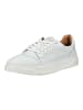 Steve Madden Sneaker Weiß