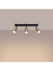 Nice Lamps Plafond SOLARA 3 schwarz/gold H 15