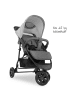 Hauck Buggy Citi Neo 3 - Grey in grau,schwarz
