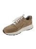 Xsensible Sportliche Schnürschuhe in Beige