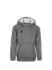 adidas Performance Trainingskapuzenpullover Core 18 in grau / schwarz