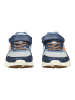 Geox Sneaker in Grau/Navy