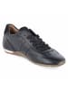 Gabor Low Sneaker in schwarz
