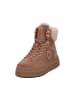 BLAUER USA Stiefelette in beige