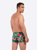 HOM Badeshorts Swim Shorts Peacock in multico print