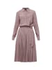 Finn Flare Kleid Plissee in brown