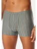 Schiesser Retro Short / Pant 95/5 Essentials - Cotton in Blau / grün